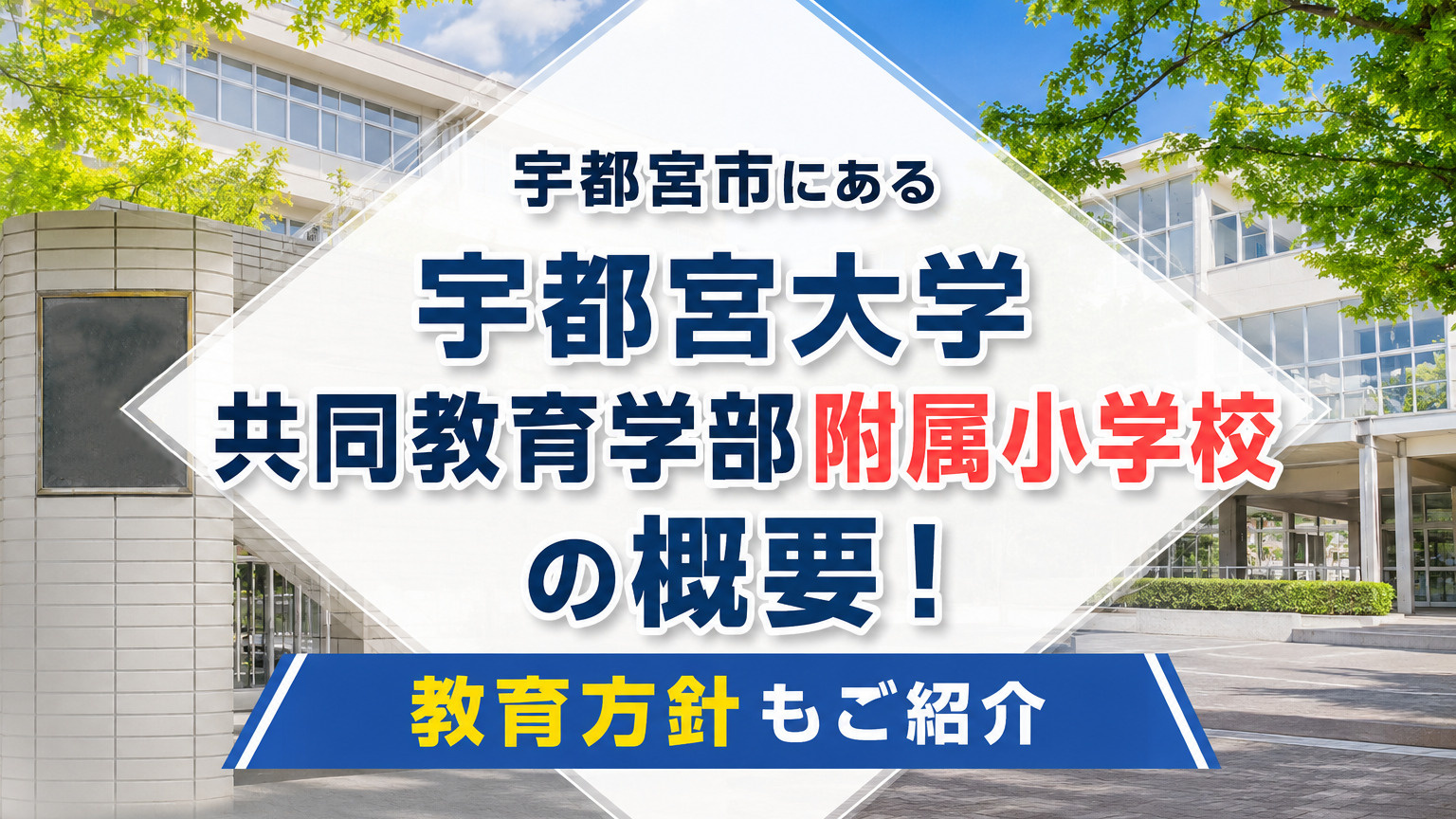 宇都宮市にある「宇都宮大学共同教育学部附属小学校」の概要！教育方針