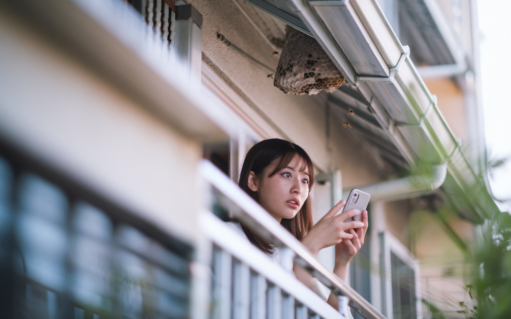 賃貸アパートで蜂の巣発見時の危険性は？連絡先と正しい対処法を解説の画像