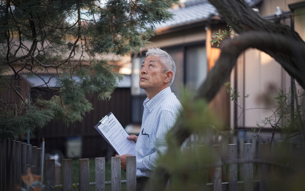 木の枝が越境したら切っても問題ない？木の越境トラブルを防ぐ正しい対処法の画像
