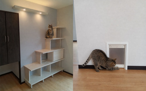 猫と心地よく暮らせる家特集の画像