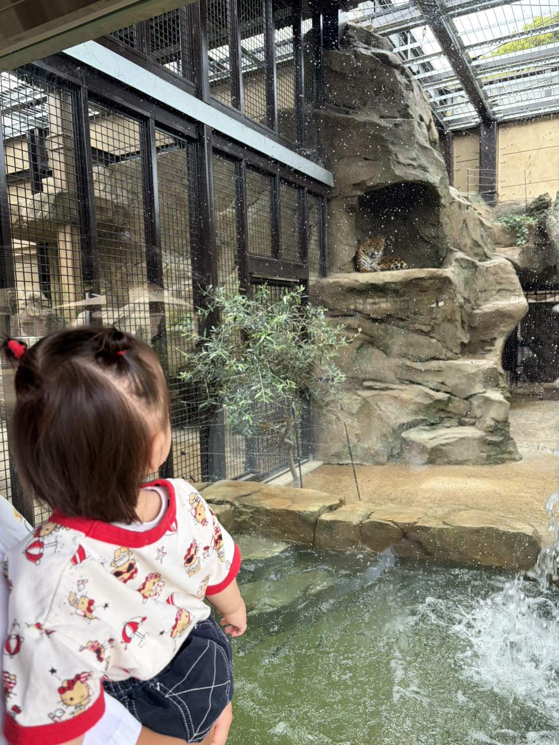 東武動物公園へお出かけ！！の画像