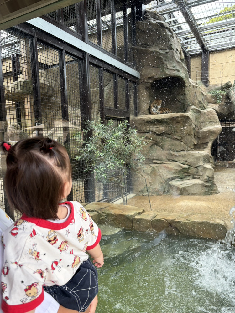 東武動物公園へお出かけ！！の画像