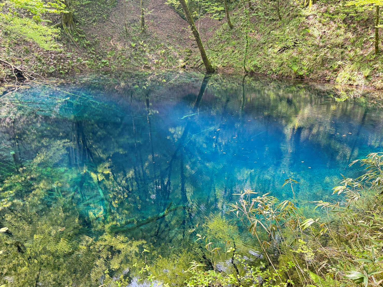 これからよろしくお願いいたします！の画像