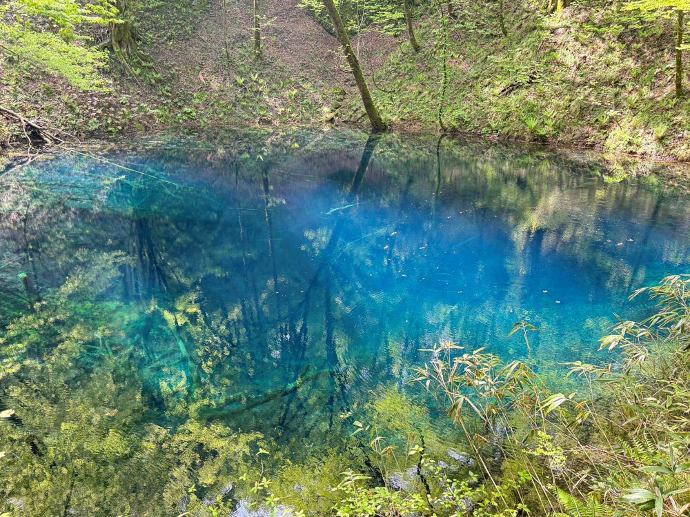 これからよろしくお願いいたします！の画像
