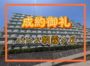 成約情報の画像