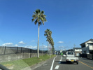 お出かけの画像