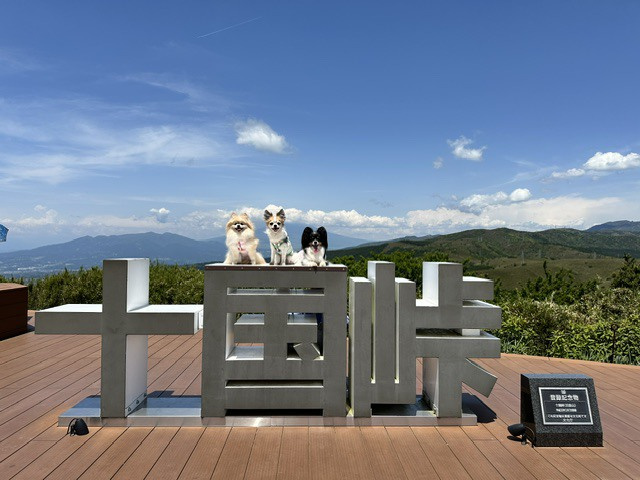 伊豆っていいね♪の画像