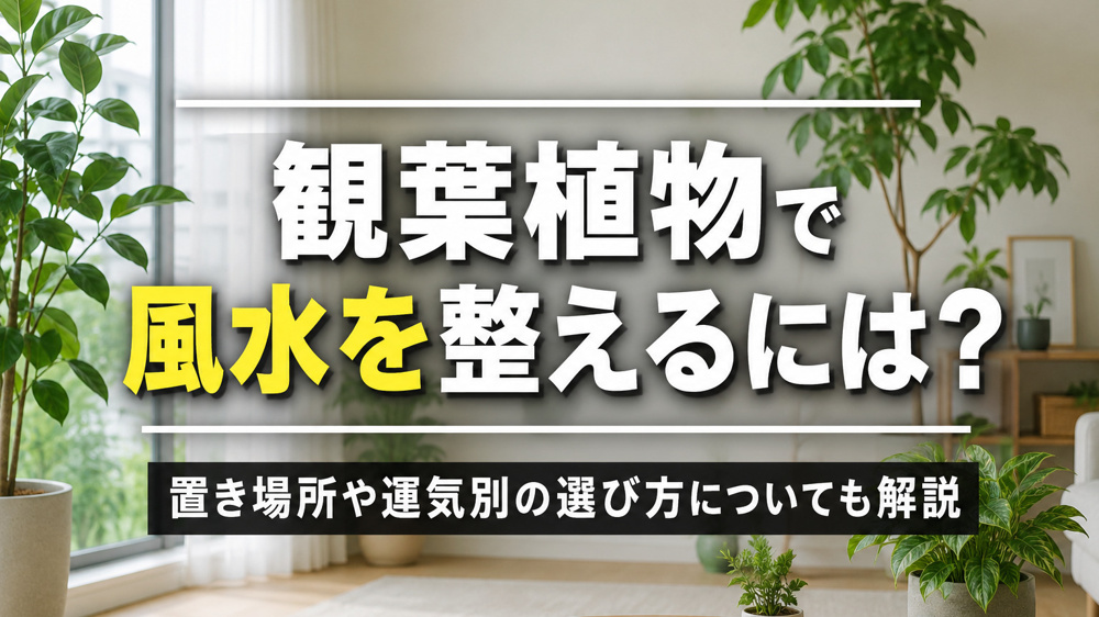 観葉植物で風水を整えるには？置き場所や運気別の選び方についても解説の画像