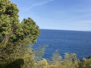 熱海に移り住みましたの画像
