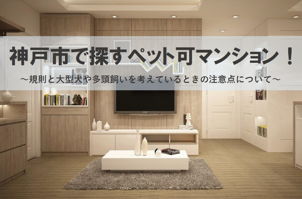 神戸市で探すペット可マンション！規則と大型犬や多頭飼いを考えているときの注意点を解説の画像