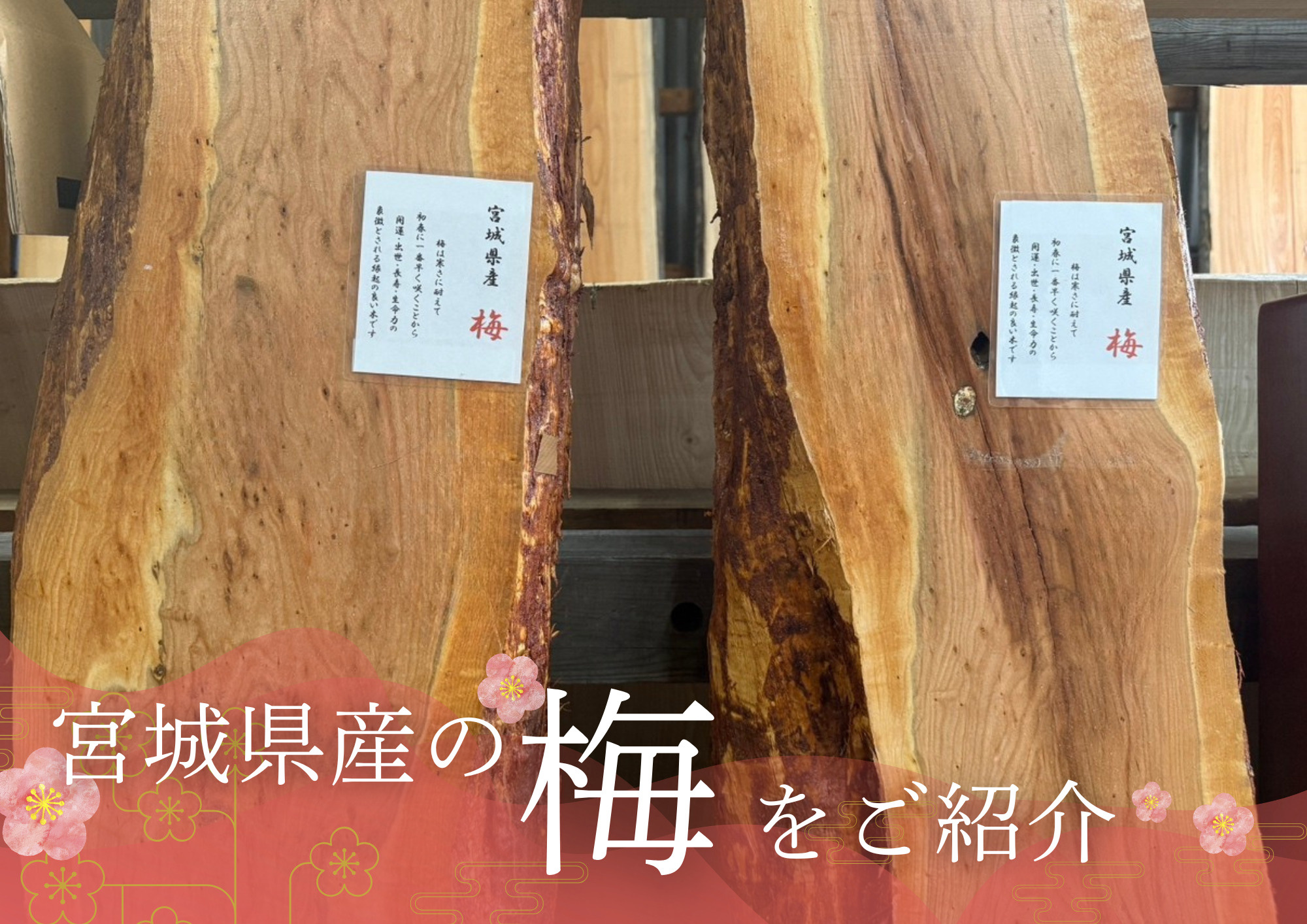 ブログトップ滋賀・京都で不動産購入・売却をお考えならTOMO
