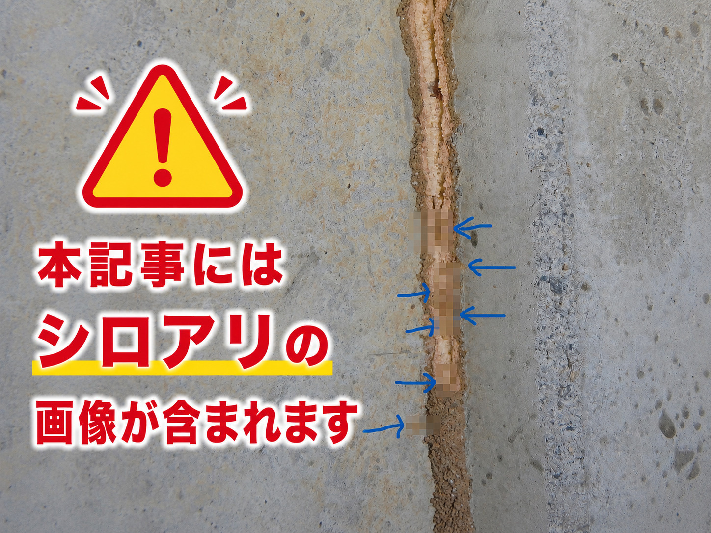シロアリ被害を発見!床下点検を実施しました!の画像
