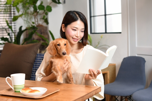 ペット可物件を探すときの注意点｜契約前に確認すべきポイントを解説の画像