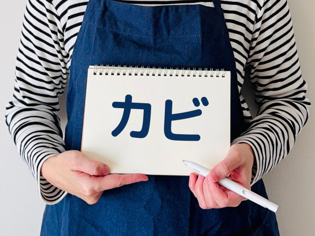 梅雨の季節にやっておくべきカビ対策 ― 健康で快適な住まいを守るためのポイント ―の画像