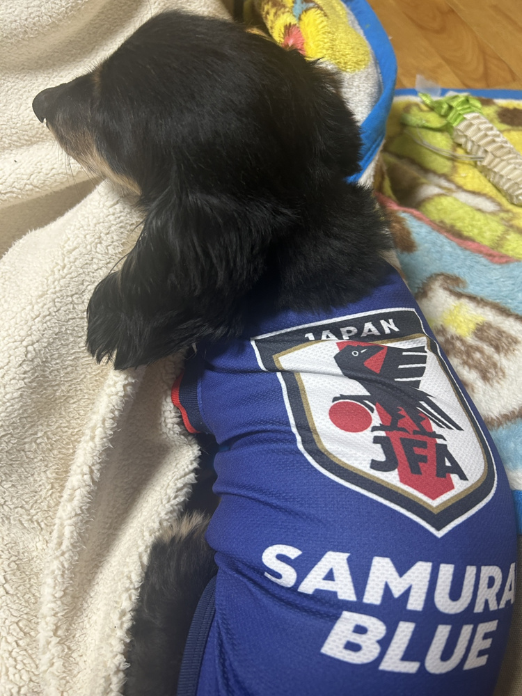 FIFAワールドカップ2026の画像