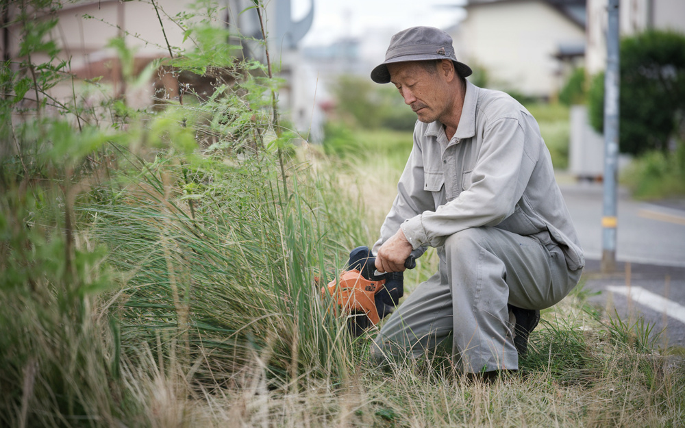 岐阜市の7月は物件の草刈り強化月間！その理由と空き家や土地所有者が取るべき対策の画像