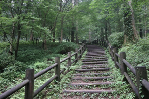 上林森林公園の風穴って知ってる?|松山市近郊の画像