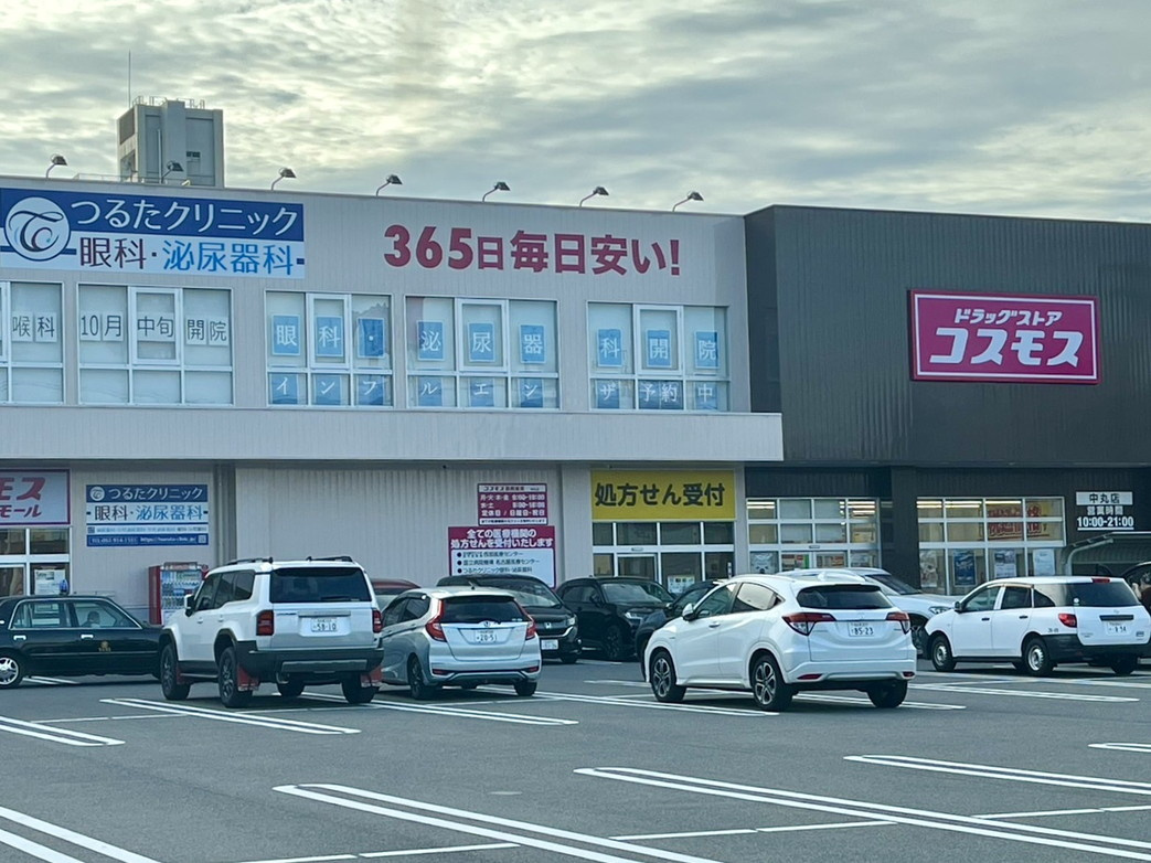 コスモス
