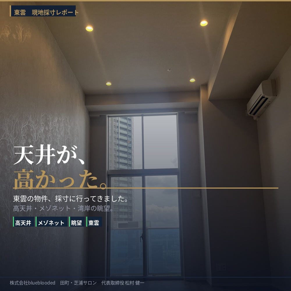 東雲の物件、採寸してきました——天井が高すぎて大変だった話の画像