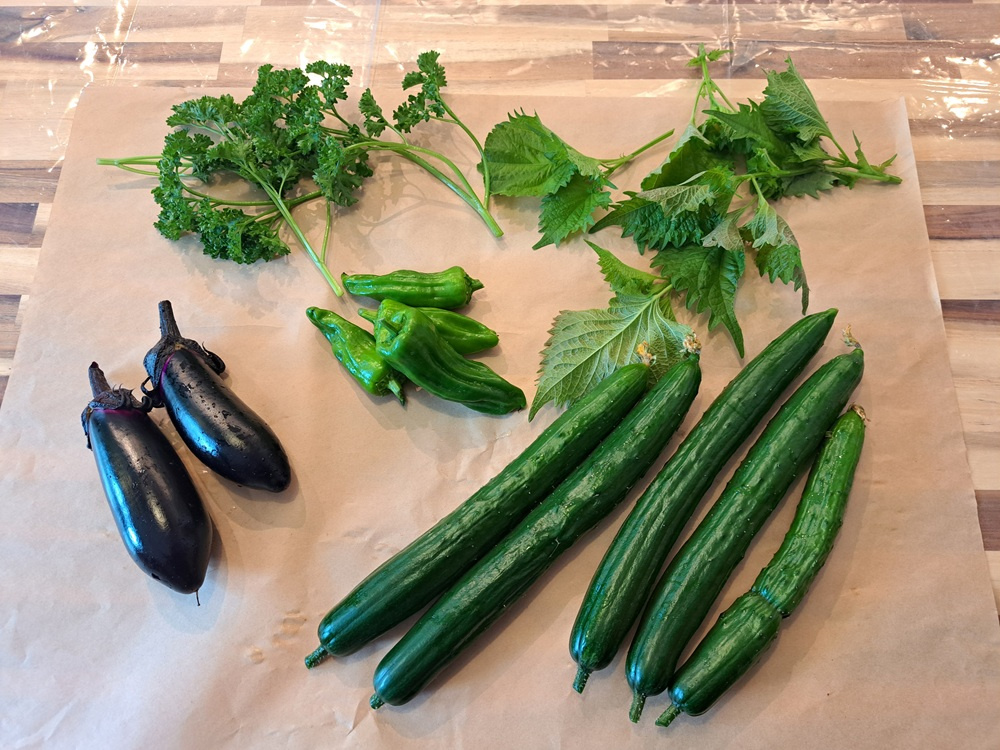 ☆敷地内の畑で収穫した新鮮野菜をいただきました！☆の画像
