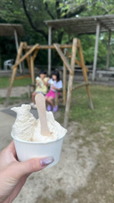暑くなってきたからアイスがうまいの画像