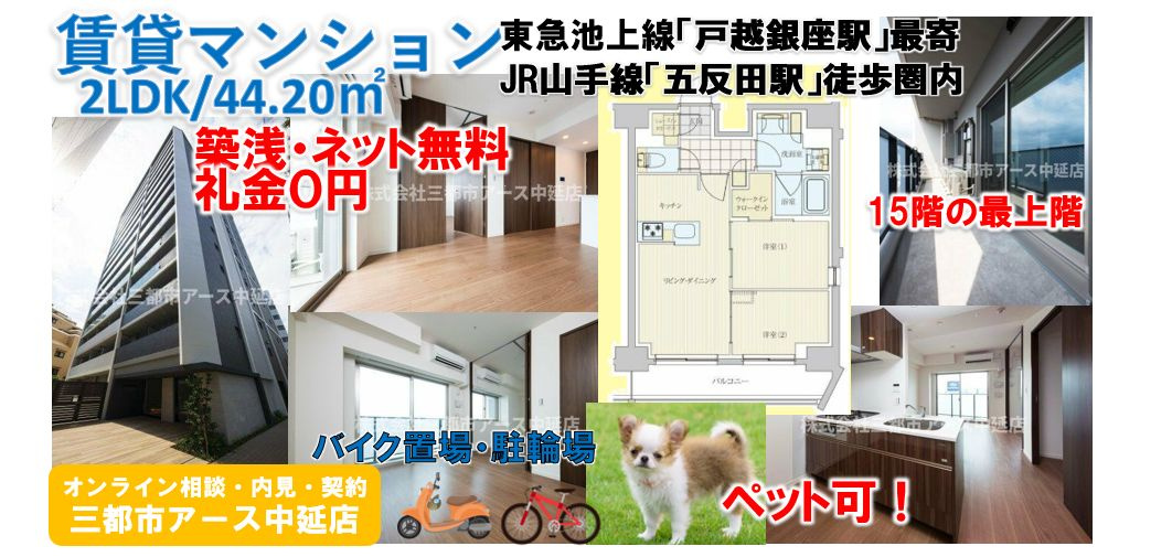 【リビオメゾン戸越銀座】築浅・賃貸マンション・2LDK・ファミリー・2人暮らし・ペット可・最上階・礼金0円・ネット無料・山手線・五反田駅