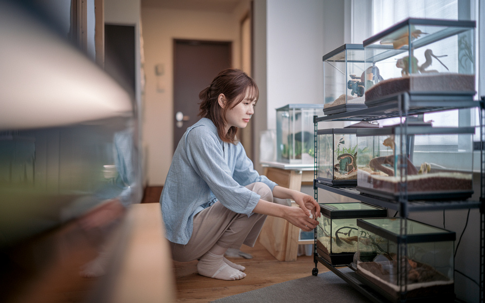 爬虫類の多頭飼い向き賃貸は？間取りの選び方と注意点を解説の画像