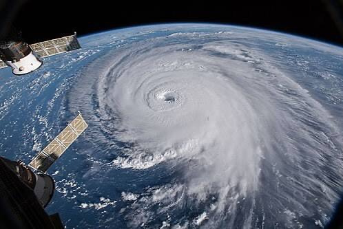 どうでもいい雑学から始まる台風の物語の画像