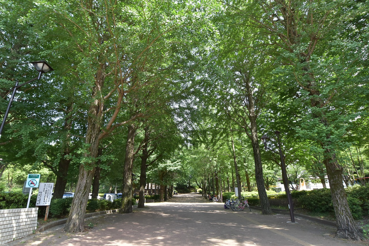 城北中央公園