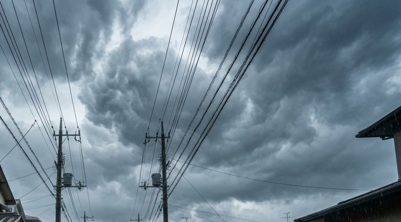 梅雨　　(; ･`д･´)の画像
