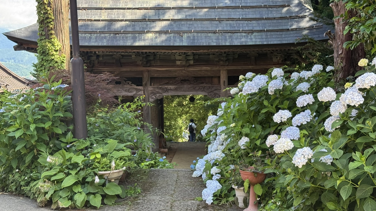 あじさい寺 高源院の画像