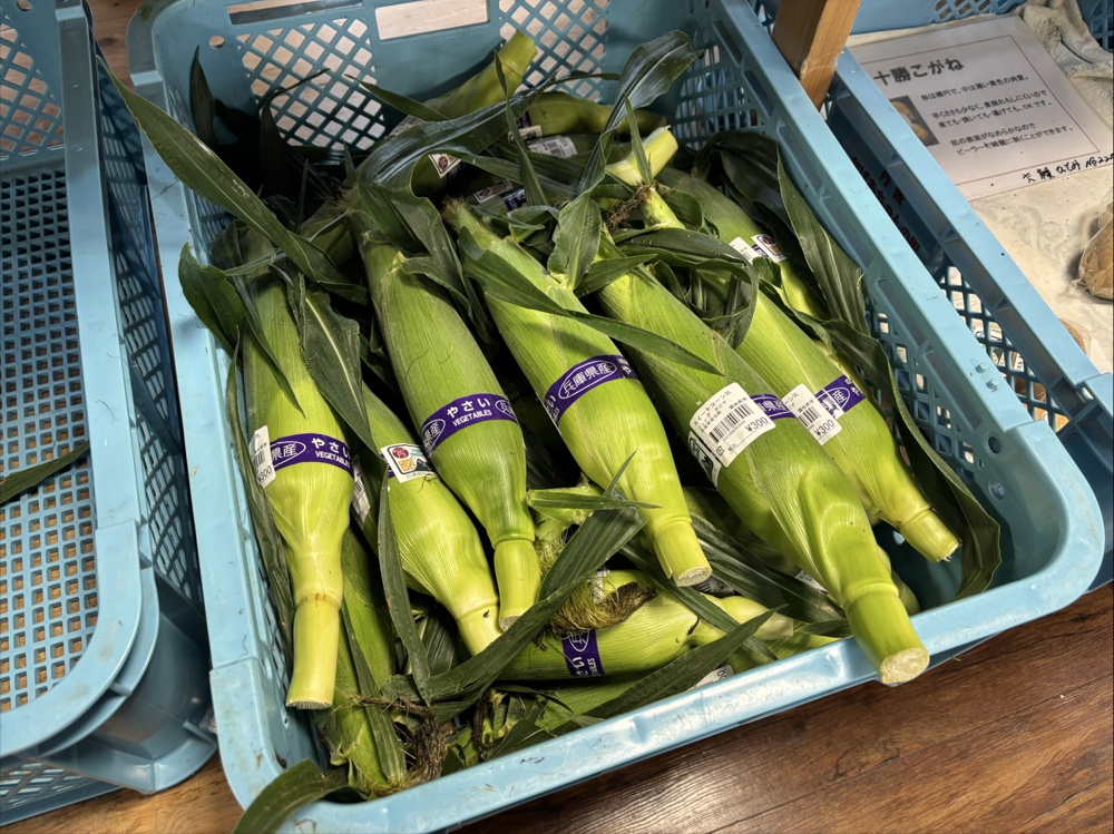 丹波のとうもろこしが今旬！甘くて絶品の夏の味覚をご紹介の画像