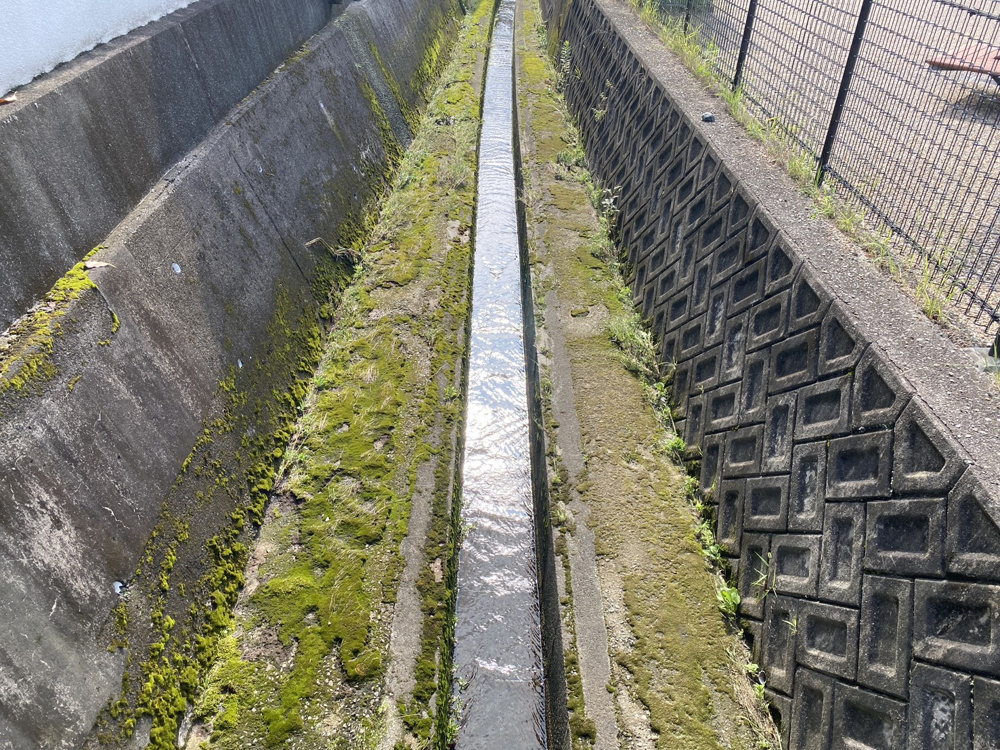 月曜日いい天気です！の画像