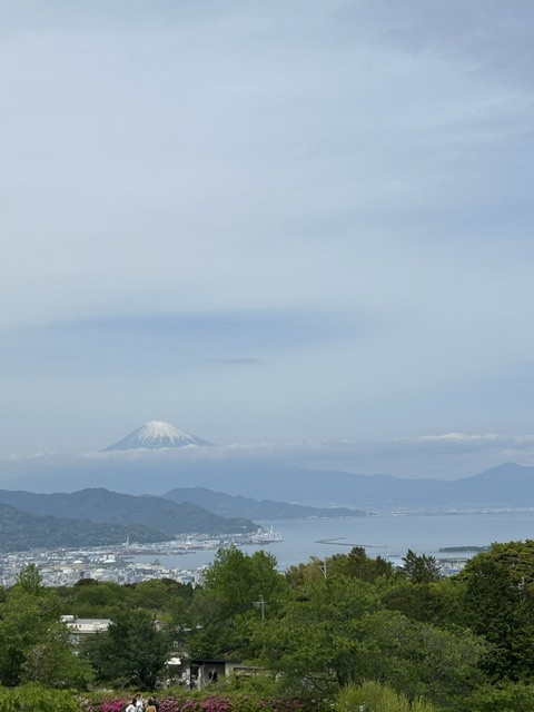 観光～～の画像