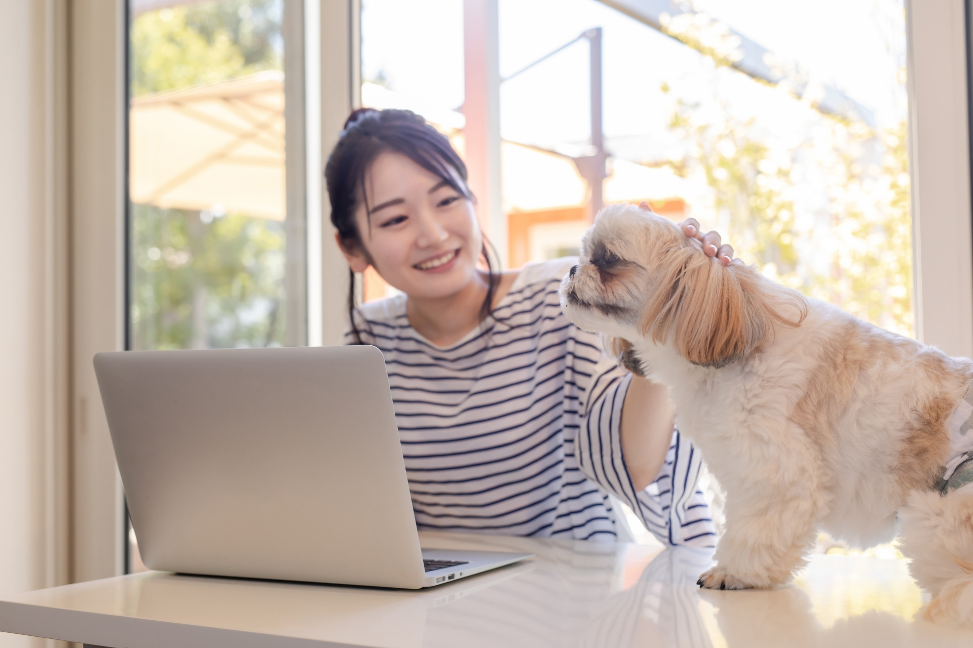 愛犬と一緒にペットを探す女性