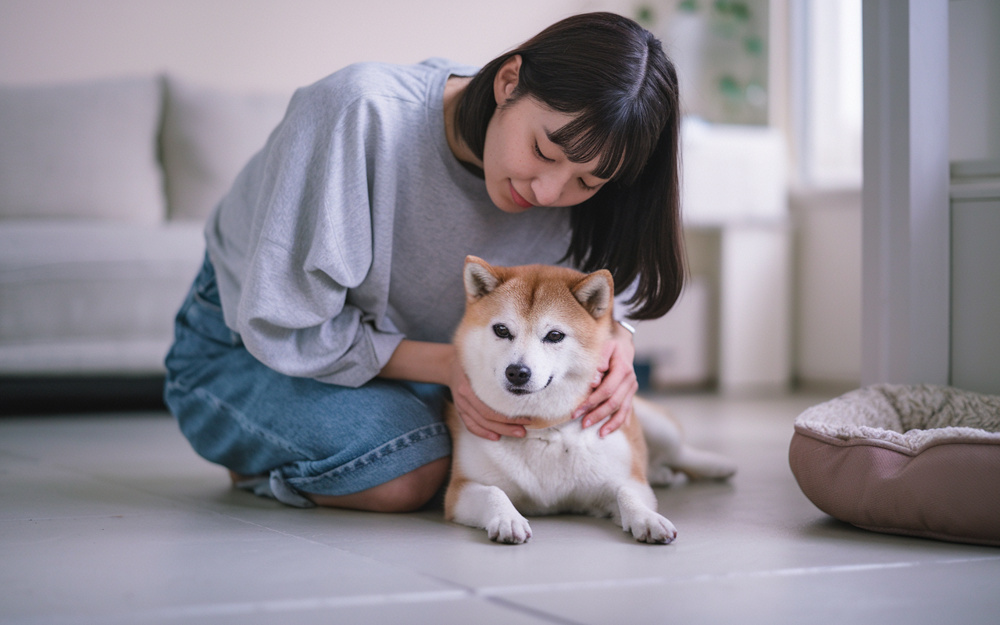 諫早市で探す理想の賃貸はペット可が安心？ペットと快適に暮らせる物件選びのコツを解説の画像