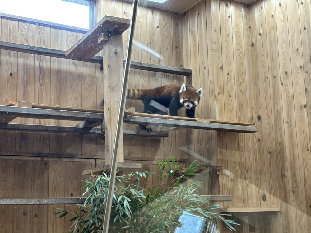東山動物園の画像