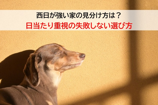 西日が強い家の見分け方は？日当たり重視の失敗しない選び方の画像