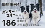 【節約事例41】ボーダー・コリーさんは中古マンションの諸費用を186万円安くできました！の画像