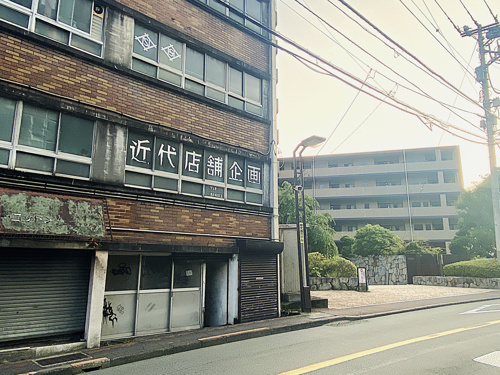 商店街近くで見かけた猫の写真