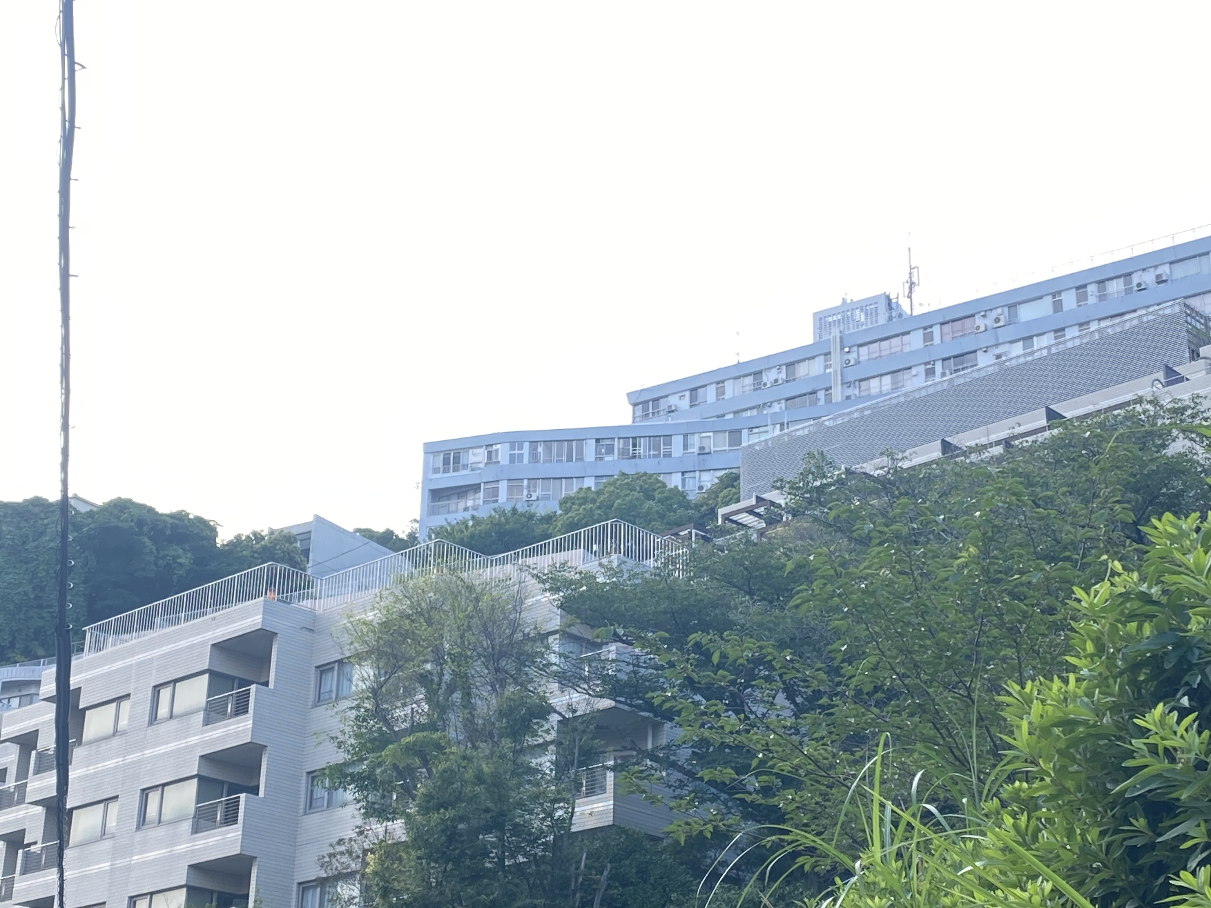 魅惑の熱海本通り商店街の画像