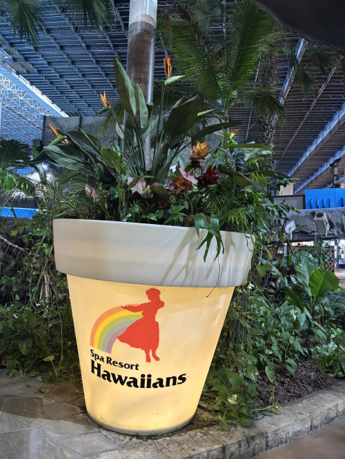 HAWAIIの画像