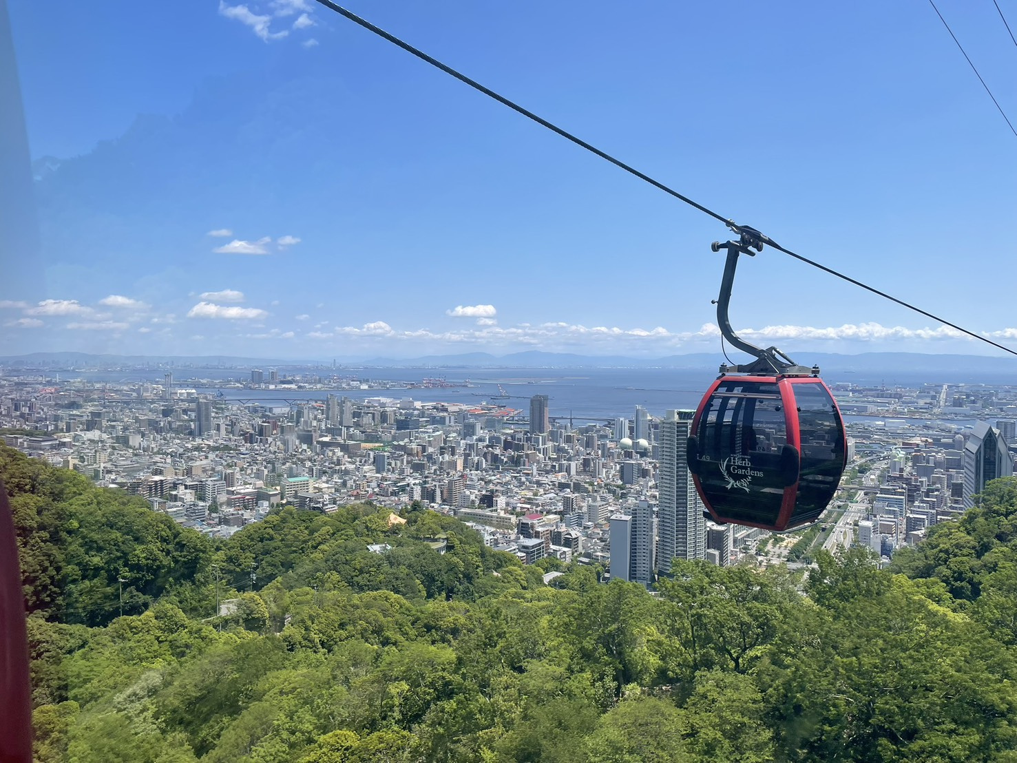 さかのぼる!の画像