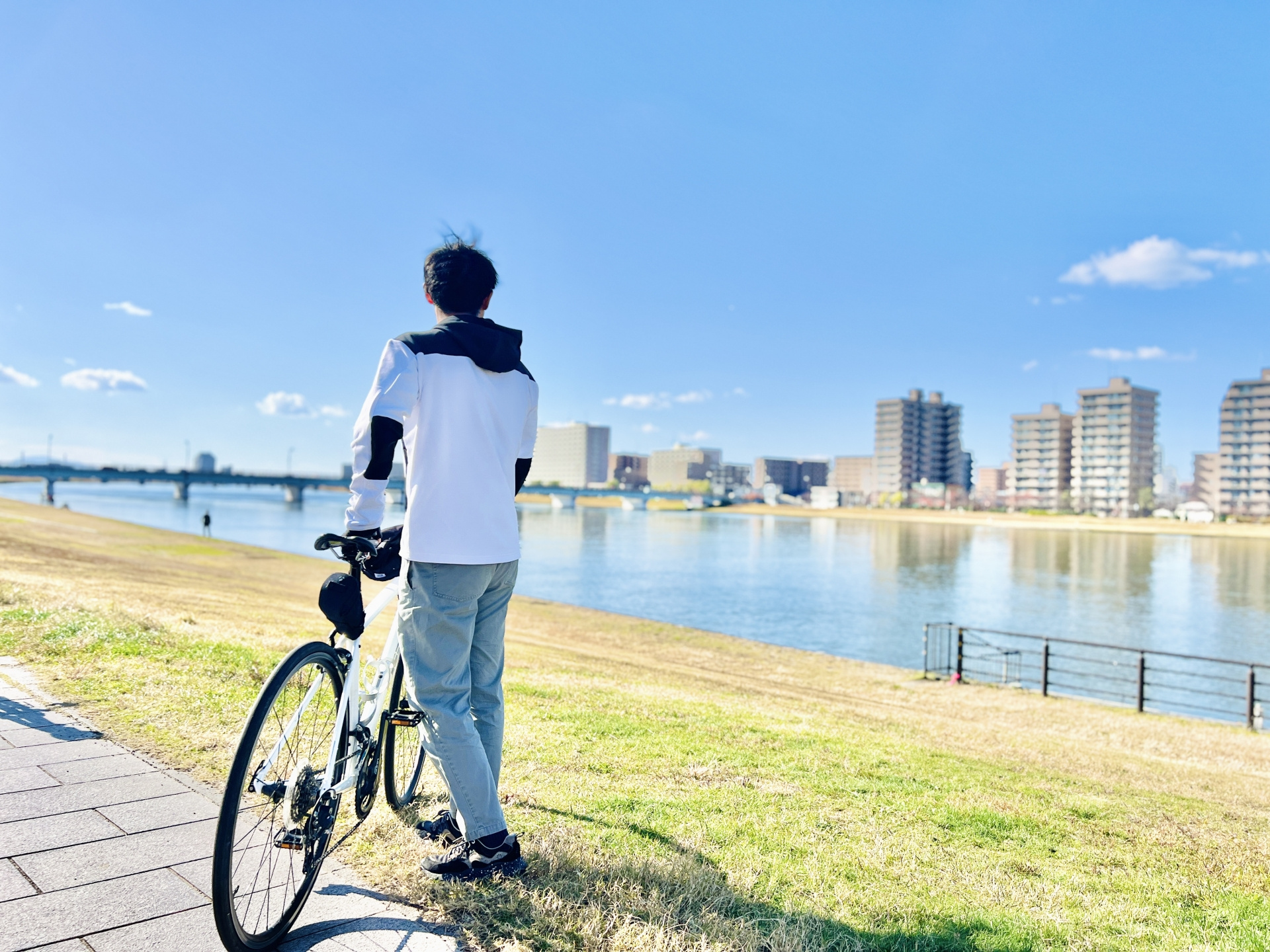 車がなくても大丈夫！新潟市で電車・バス・徒歩だけで暮らせるエリアを解説の画像