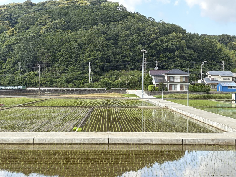 のどかな景色の画像