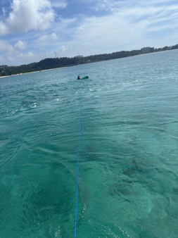 沖縄3日目＊前半/扇大橋で一人暮らしの画像