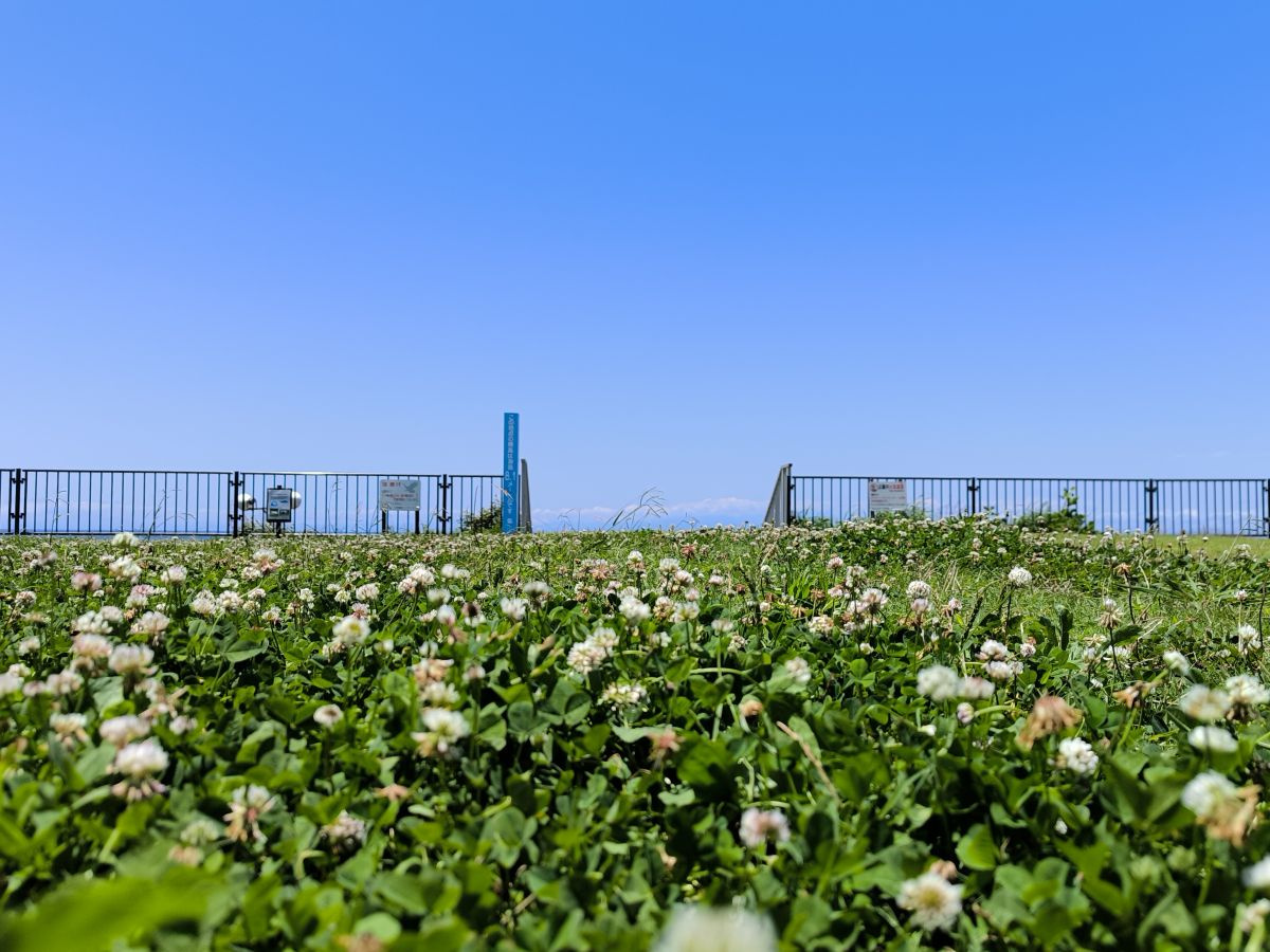 葉山公園＠葉山の画像