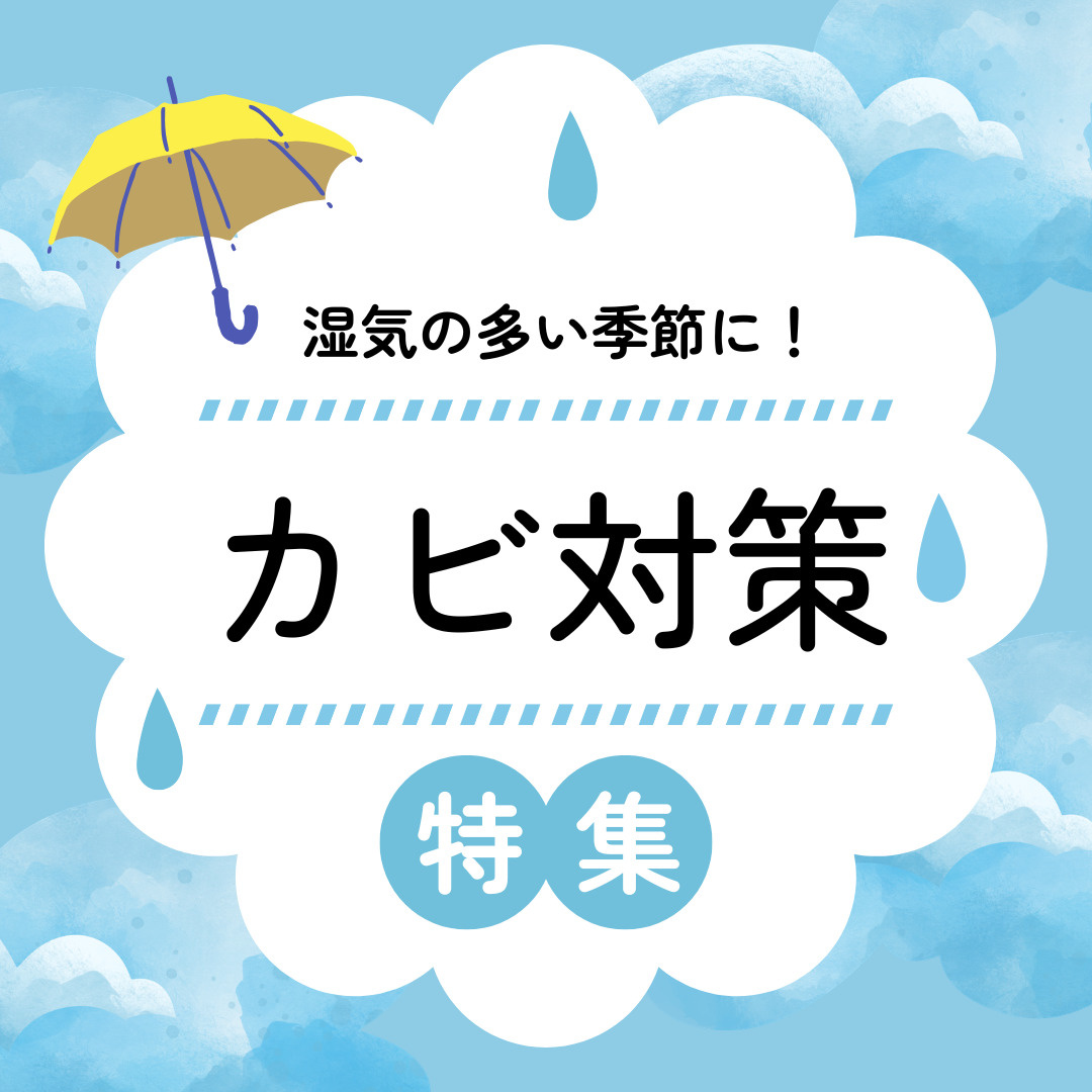カビ対策は難しい?家中を守るライフハックを解説の画像