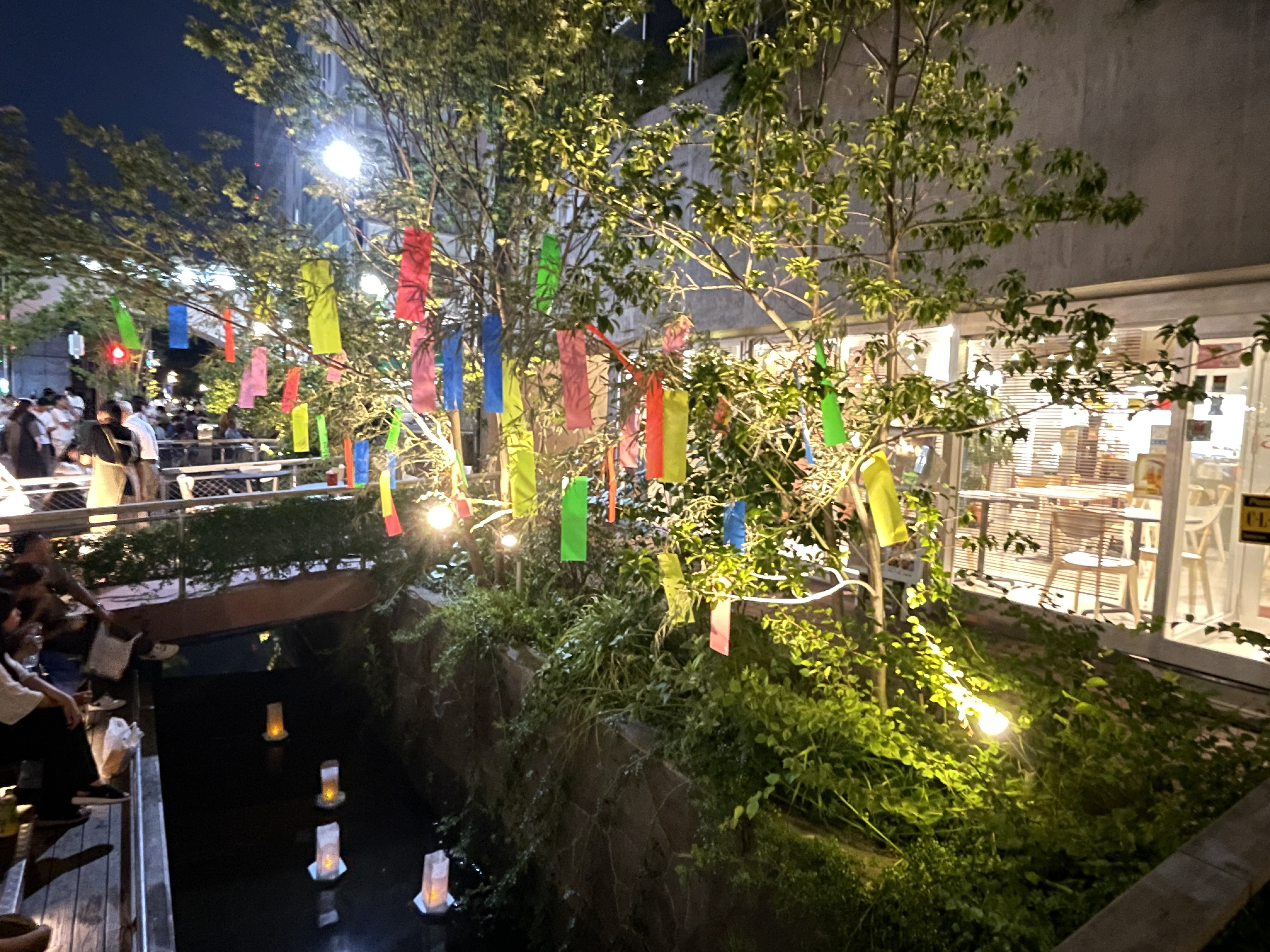 2026年7月11日（土曜）りんごの樹(^^)元気にオープン！の画像