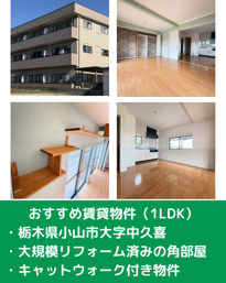 猫好きさん必見! キャットウォーク付き1LDKが登場の画像